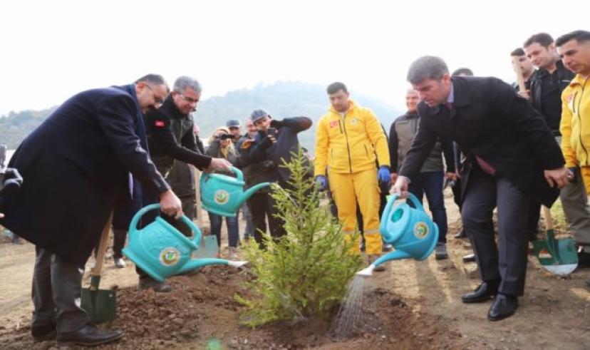 Amasya’da yüzlerce kişi “Geleceğe Nefes” olmak için fidan dikti