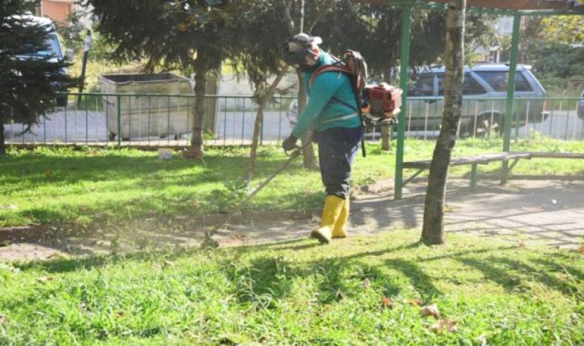 Giresun Belediyesi Yeşil Alanlara Sonbahar Temizliği Yapıyor
