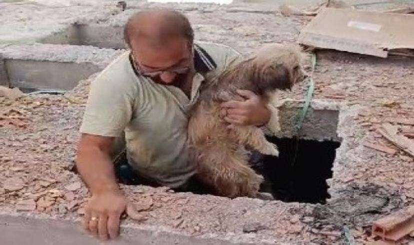 İnşaat alanından minik köpeği kurtardılar