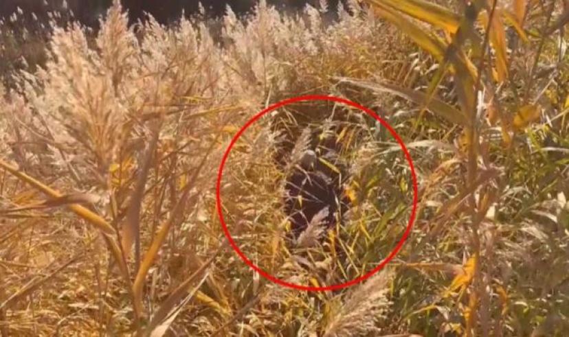 Kars’ta firari cinayet zanlısı tutuklandı