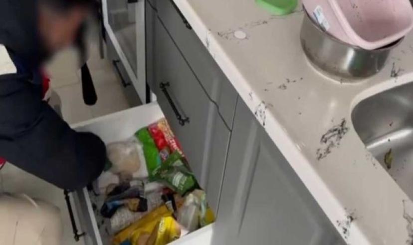 Kars’ta mutfak da tarihi eser yakalatan 2 şüpheli jandarma ekiplerince yakalandı