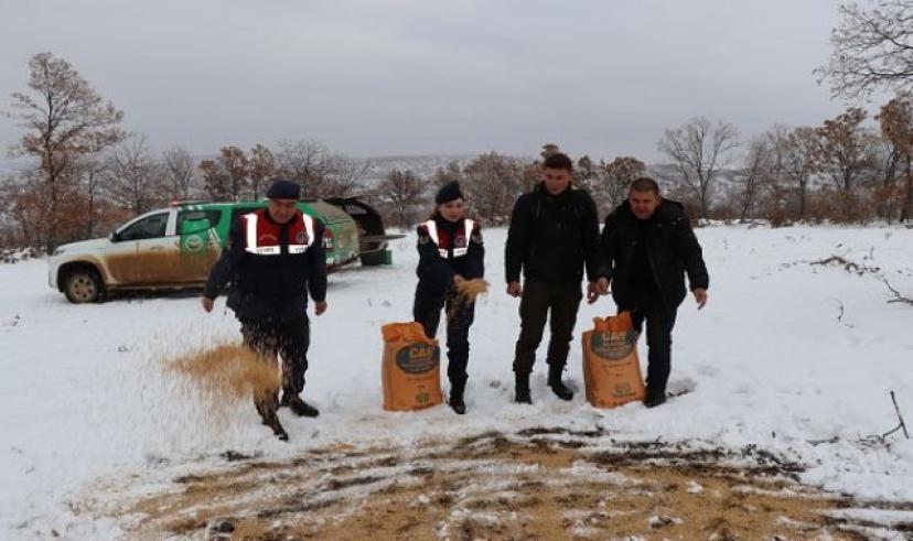 Kırıkkale’de yaban hayvanları için doğaya yem bırakıldı