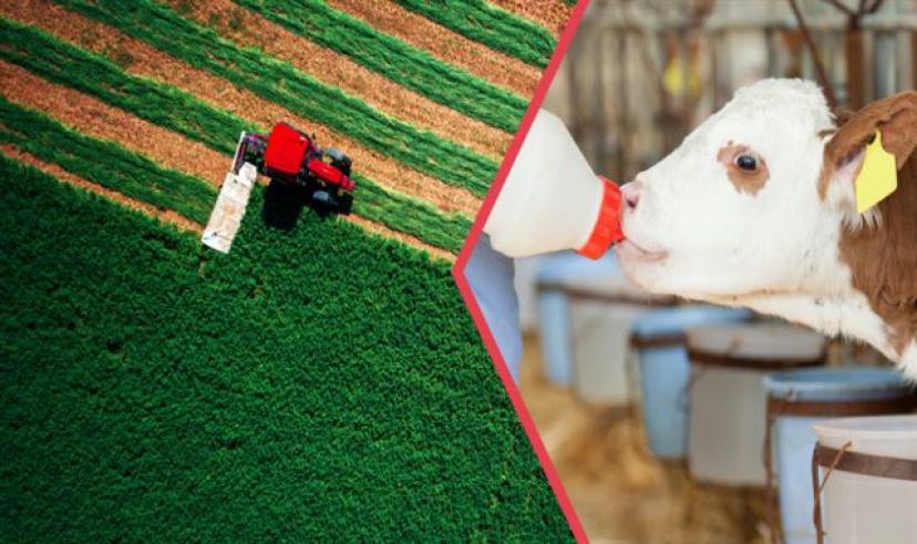 Kırsal Kalkınma Destekleri Çiftçilerin Hesaplarına Aktarılıyor