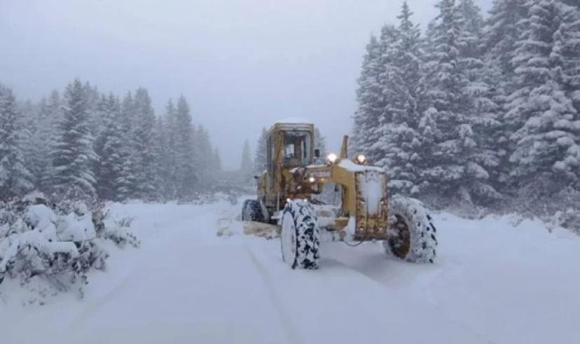 Ordu’da kar yağışı nedeniyle mahsur kalan 4 kişi için arama kurtarma çalışmaları sürüyor