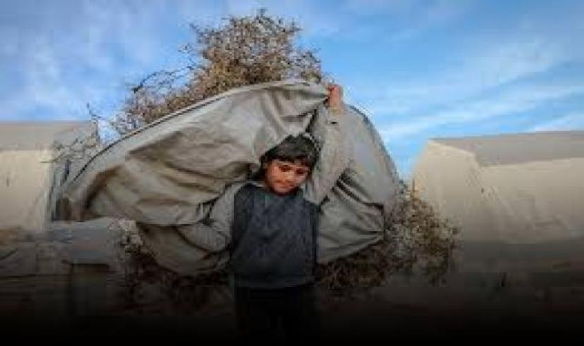 Sokakta çalıştırılan çocuk sayısı 50 bine yaklaştı