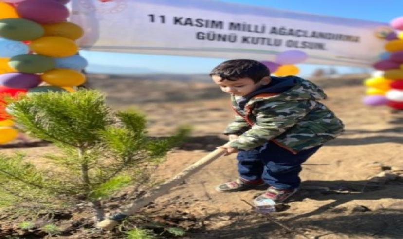Yatağan’da Milli Ağaçlandırma Günü çerçevesinde 5 bin fidan toprakla buluştu