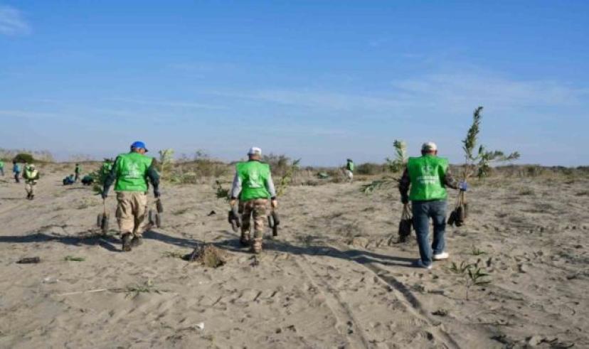 Adana’da erozyonla mücadele kapsamında fidan dikimi yapıldı