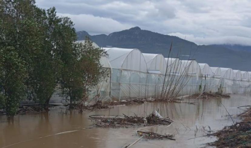Antalya ilçelerinde ev ve seraları su bastı