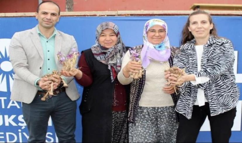 Elmalı’da safran soğanı dağıtımı yapıldı