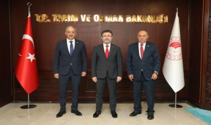 Muğla milletvekillerinden yeni bir müjde