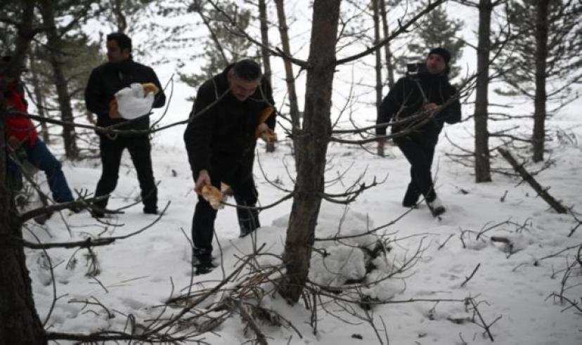 Vali Çiftçi, yaban hayvanları için doğaya yem bıraktı