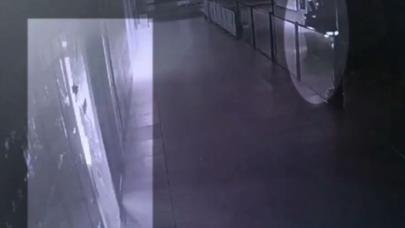 128 Organize Suç Örgütü Üyesi Yakalandı