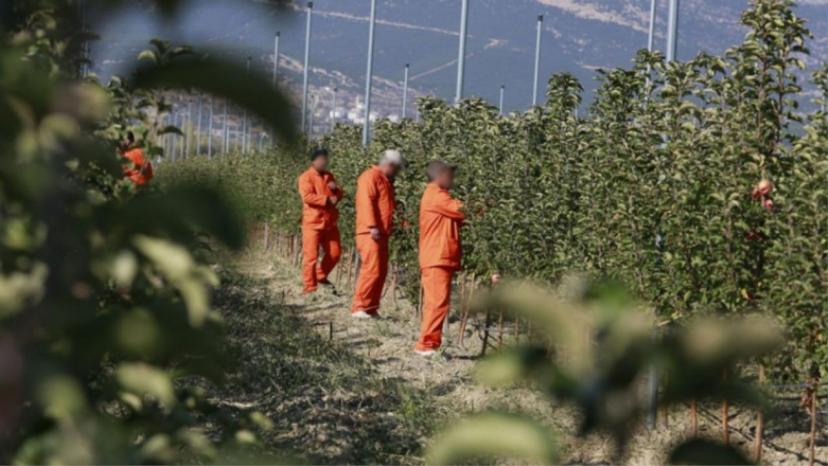 Ceza Evlerinde 200 meslek dalında üretim yapılıyor