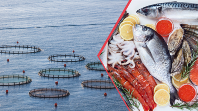 Su Ürünleri İhracatında Rekor