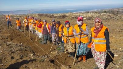 Çanakkale'de kınalı ellerden 5 milyon fidan