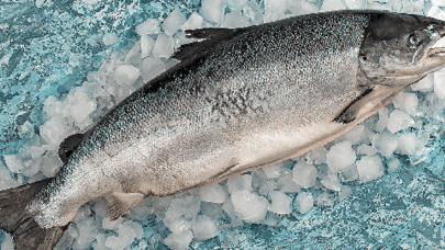 Doğu Karadeniz'den 2 ayda 8,6 milyon dolar somon ihracatı