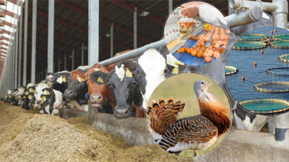 Tarım Bakanlığı tarımsal hibe desteği verecek