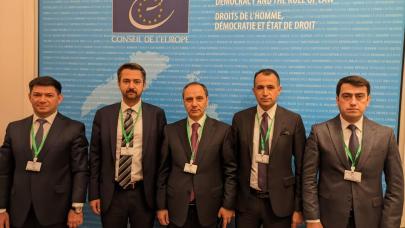 Avrupa Konseyi’nden ceza infazında ruh sağlığı tavsiyesi