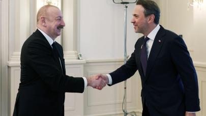 Bakan Bayraktar, Azerbaycan Cumhurbaşkanı Aliyev ile enerji iş birliklerini görüştü