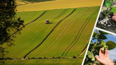 Çiftçilere Bakanlıktan Müjde