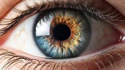 Görme kaybı tarihe karışıyor: Yeni tedavi, retina hasarını onarıyor