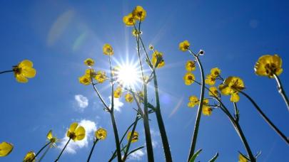 Yeni haftada hava sıcaklıkları artıyor, yağış doğuda sürecek