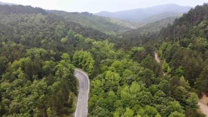 Çanakkale'de ormanlık alanlara girişler 1 Haziran'dan itibaren yasaklandı