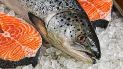 Doğu Karadeniz somon ihracatında yeni rekor: 35,8 milyon dolar