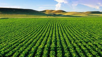 Tarımda gençlere özel destek artıyor: Stratejik kararlar gençlerden ilham alıyor