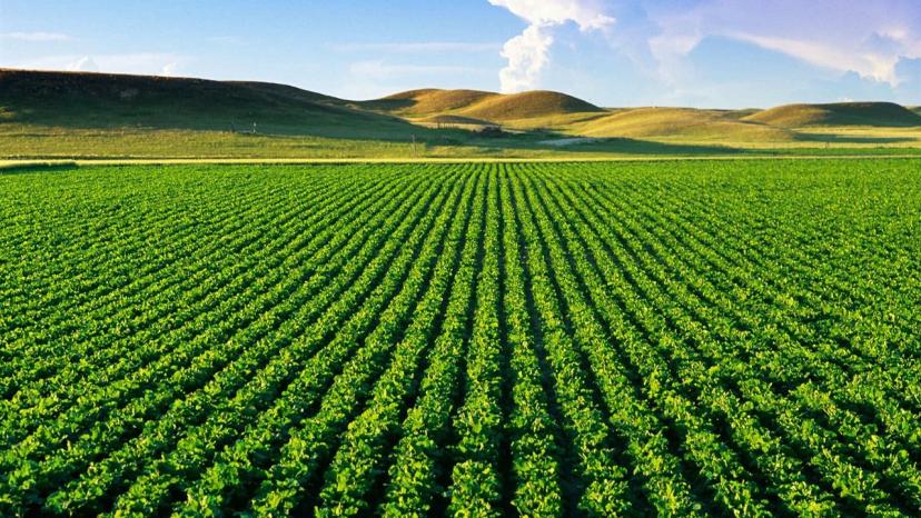 Tarımda gençlere özel destek artıyor: Stratejik kararlar gençlerden ilham alıyor