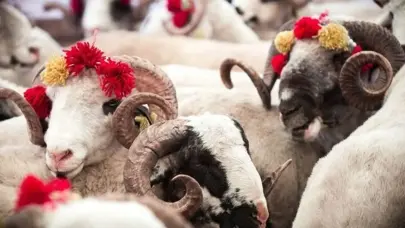 Diyanet uyardı: Bayram namazı öncesi kesilen kurbanlar geçersiz
