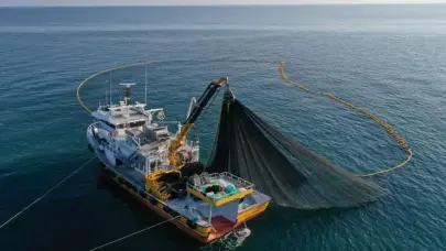 Doğu Karadeniz'in su ürünleri ihracatı 5 ayda 69,8 milyon doları aştı