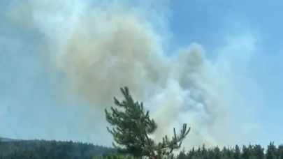 İzmir’de orman yangını 20. saatine girdi: Müdahale sürüyor