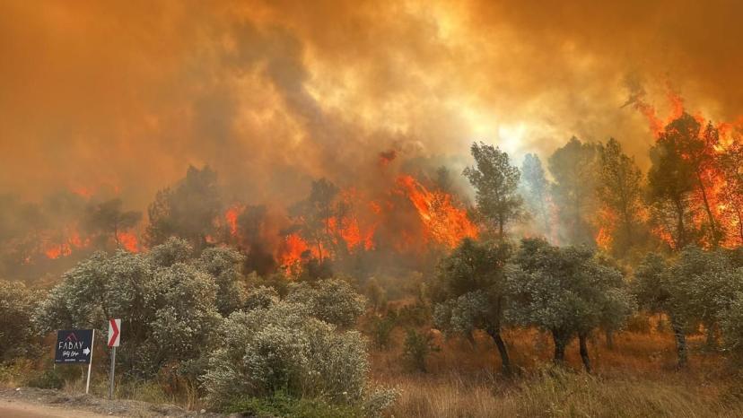 İzmir'deki orman yangını yerleşim yerlerini tehdit ediyor