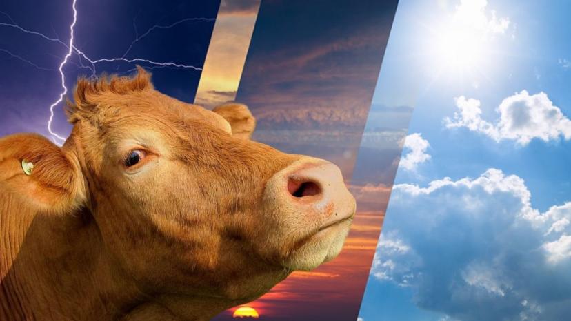 Kurban Bayramı'nda hava durumu nasıl olacak?
