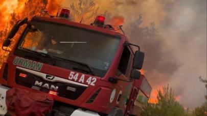 Ormanın Kahramanları’na yol verin