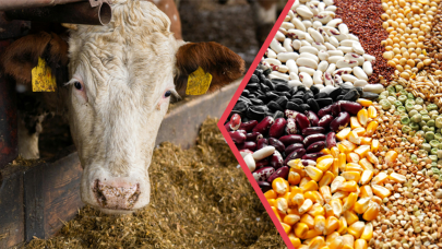 344 Milyonluk Tarımsal Destek Hesaplara yatırıldı