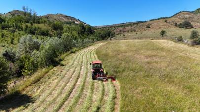 Hububat ve bakliyat ihracatı yılın ilk yarısında 6 milyar doları aştı