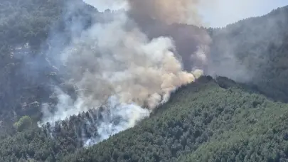 Muğla Menteşe’de orman yangını: Havadan ve karadan müdahale sürüyor