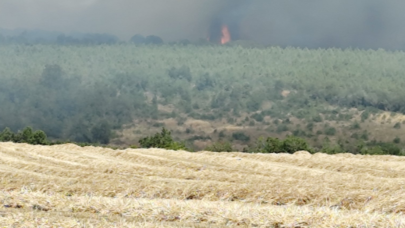 Silivri’de otluk alanda başlayan yangın ormana sıçradı