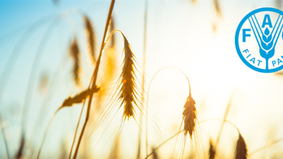 Türkiye, FAO üst yönetiminde