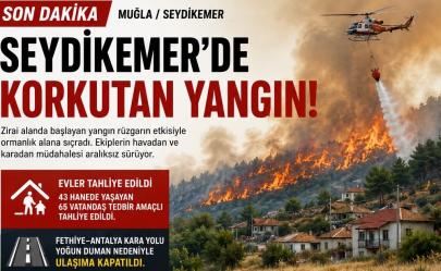 Muğla Seydikemer’de korkutan yangın! Evler tahliye edildi, kara yolu ulaşıma kapatıldı - 6N1K ÖZEL HABER