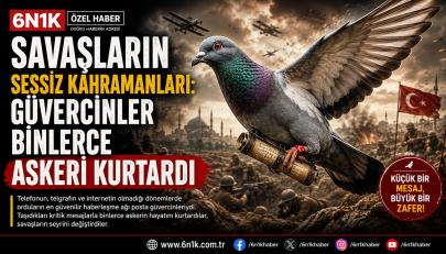 Savaşların Sessiz Kahramanları: Güvercinler Binlerce Askeri Kurtardı