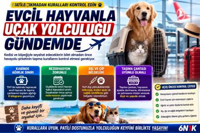 Evcil hayvanla uçak yolculuğu gündemde: Tatile çıkmadan kuralları kontrol edin