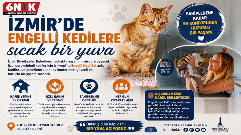 İZMİR’DE ENGELLİ KEDİLERE SICAK BİR YUVA