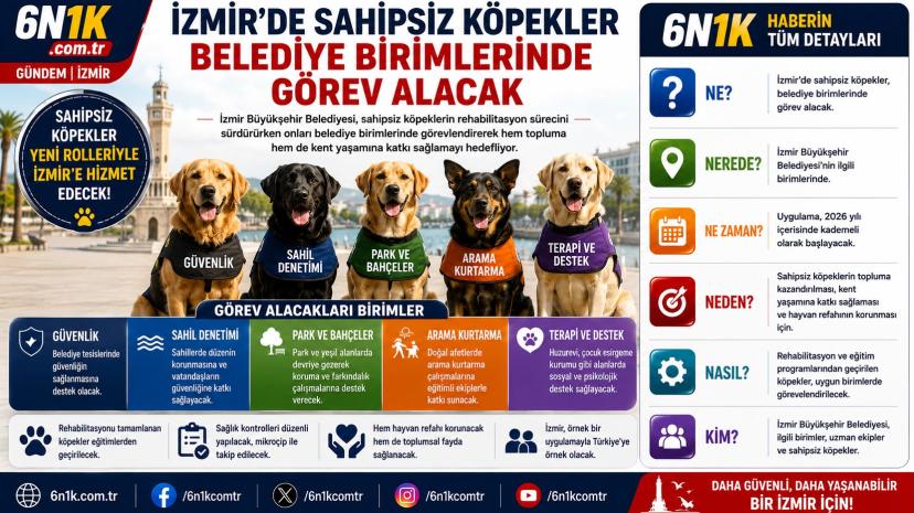 İzmir’de Sahipsiz Köpekler Belediye Birimlerinde Görev Alacak