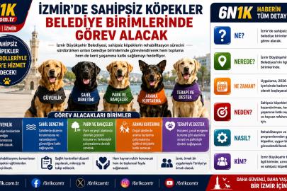 İzmir’de Sahipsiz Köpekler Belediye Birimlerinde Görev Alacak
