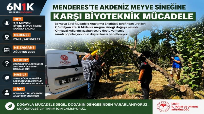 Menderes’te 2,5 milyon steril sinek doğaya salındı