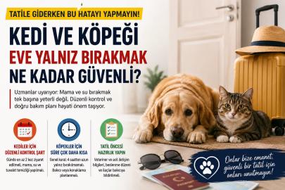 Tatile giderken bu hatayı yapmayın: Kedi ve köpeği evde yalnız bırakmak ne kadar güvenli?
