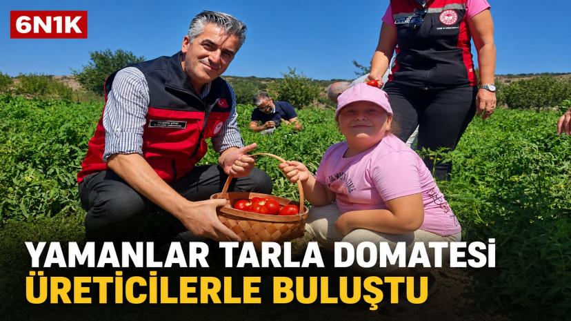 Yamanlar Tarla Domatesi İçin Üretici Buluşması